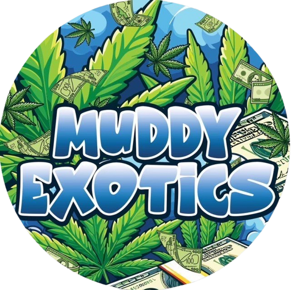 Muddy Exotics 